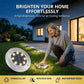 🔥 Topaanbieding: 50% KORTING 🔥 Roestvrijstalen grondlamp op zonne-energie met 8 LED-lampjes