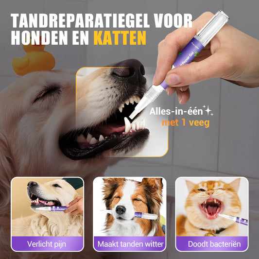 🐶Mondherstelgel voor Huisdieren