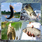 Universal Concentrated Red Worm Liquid Bait for Fishing Attractant