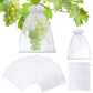 🎁2026 NEW ARRIVALS 50% OFF🔥Fruit Protection Bags