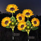 🌻🌞 50% KORTING! Alsof je een eeuwig bloeiend zonnebloemveld in de grond prikt dat nooit water nodig heeft! Deze solar LED-stake laadt overdag op, gloeit 14 uur 's nachts, overleeft elke storm – geen kabels, geen gedoe.