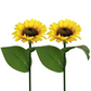 🌻🌞 50% KORTING! Alsof je een eeuwig bloeiend zonnebloemveld in de grond prikt dat nooit water nodig heeft! Deze solar LED-stake laadt overdag op, gloeit 14 uur 's nachts, overleeft elke storm – geen kabels, geen gedoe.