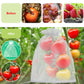 🎁2026 NEW ARRIVALS 50% OFF🔥Fruit Protection Bags