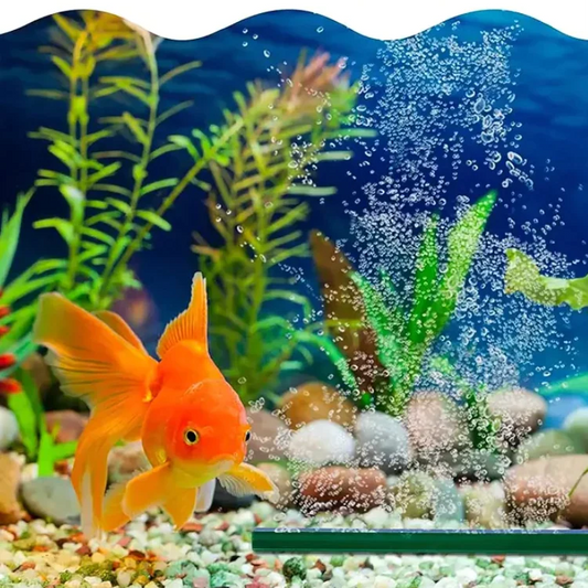 🔥HOT SALE🔥 Fish Tank Oxygen Air Bubble Bar🐠