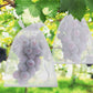 🎁2026 NEW ARRIVALS 50% OFF🔥Fruit Protection Bags
