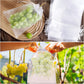 🎁2026 NEW ARRIVALS 50% OFF🔥Fruit Protection Bags