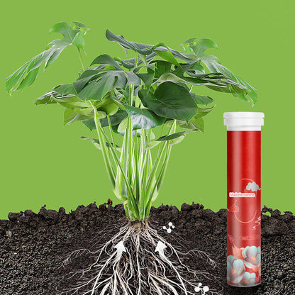🌿 Langwerkende Meststoftabletten – Gezonde groei voor al je planten, binnen én buiten!