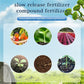 🌿 Langwerkende Meststoftabletten – Gezonde groei voor al je planten, binnen én buiten!