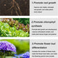 🌿 Langwerkende Meststoftabletten – Gezonde groei voor al je planten, binnen én buiten!