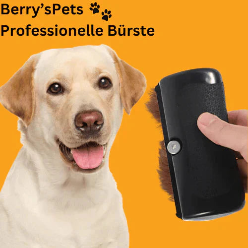 Beperkte tijd 30% korting 💥 Huisdieren 🐕 Professionele borstels