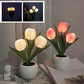 LED tulp nacht licht bloem tafellamp🌷✨Koop 2 gratis verzendin