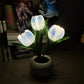 LED tulp nacht licht bloem tafellamp🌷✨Koop 2 gratis verzendin