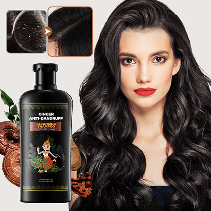 🔥2025 Hot Sale 50% UIT🔥Ginger Anti-Dandruff Cleansing Shampo