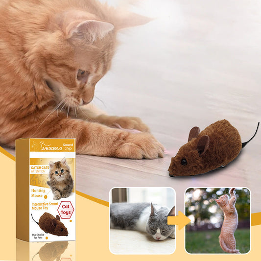 Speelgoedmuis voor Katten en Honden