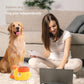 🔥2-in-1 Interactief Hond Puzzel Speelgoed & Langzaam Voerbak🔥