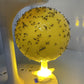 Kleverige Fruitvliegenval Bal met Voet & LED