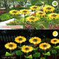 🌻🌞 50% KORTING! Alsof je een eeuwig bloeiend zonnebloemveld in de grond prikt dat nooit water nodig heeft! Deze solar LED-stake laadt overdag op, gloeit 14 uur 's nachts, overleeft elke storm – geen kabels, geen gedoe.