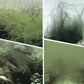 🔥Hot Sale🔥Krachtige waterzuiveraar voor aquari