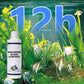 🔥Hot Sale🔥Krachtige waterzuiveraar voor aquari