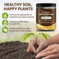 🔥Beperkte uitverkoop - KOP 1 KRIJG 1 GRATIS🔥Soil Improvement Losmaking Agent
