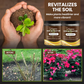 🔥Beperkte uitverkoop - KOP 1 KRIJG 1 GRATIS🔥Soil Improvement Losmaking Agent