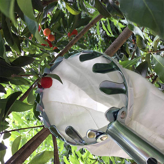 Fruitplukker Hoofdmand
