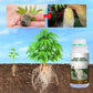 ✨ Snelle Sterke Wortelgroei Meststof – Laat Je Planten Sterker & Gezonder Groeien, In Korte Tijd!