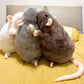 Schattig rat knuffelkussen