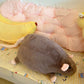 Schattig rat knuffelkussen