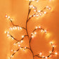 Ambiance verlichting met bloemenranke