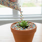 Colorful Clay Pebbles for Plants
