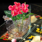 Hangende aquariumplantenhouder