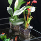 Hangende aquariumplantenhouder