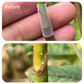 50 stuks siliconen enthulzen voor fruitbomen