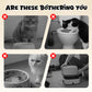 Wandmontage Kattenvoerbak in Toilet Vorm