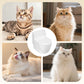 Wandmontage Kattenvoerbak in Toilet Vorm