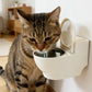 Wandmontage Kattenvoerbak in Toilet Vorm