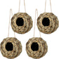 🔥BUY 2 GET 10% OFF🐦Hummingbird Nest House