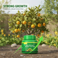 Slow-Release Orange Tree Food