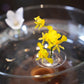 Creatieve Drijvende Bloemschikhouder
