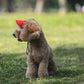 🎁HOT SALE-49% OFF🎁Dog Sun Hat Baseball Cap