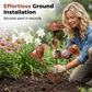 Tuinpaal Voor Callalelies Met Belletjes – Speelse Steun Voor Jouw Bloemen🔔Nieuwe collectie – Tijdelijke aanbieding: 50% korting!