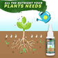 🔥Koop 2 en krijg 1 gratis (3 stuks)🔥Plantenvoedingsoplossing