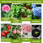 🔥Koop 2 en krijg 1 gratis (3 stuks)🔥Plantenvoedingsoplossing