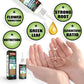 🔥Koop 2 en krijg 1 gratis (3 stuks)🔥Plantenvoedingsoplossing