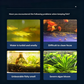 Powerful Aquarium Water Purification Tablets