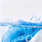 Clothing Color Revitalizer Spray