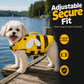 Cute Bee & Dragonfly Design Pet Life Jacket