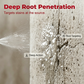 Sproeimiddel voor het verwijderen van schimmel en meeldauw op verschillende oppervlakke