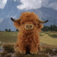Milieuvriendelijke Schotse Highland-koe Zachte Knuffel